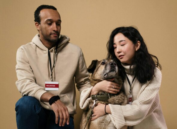 IELTS listening practice test 2: a new animal shelter - table completion questions