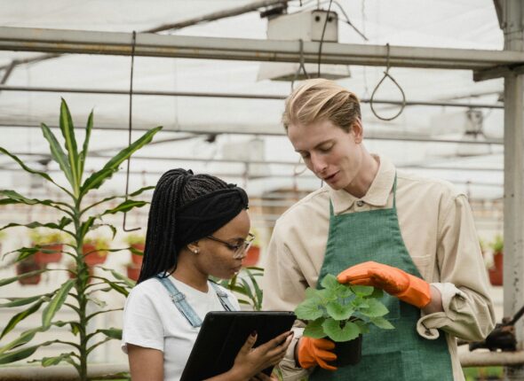 IELTS listening practice test 3 - modern farming methods