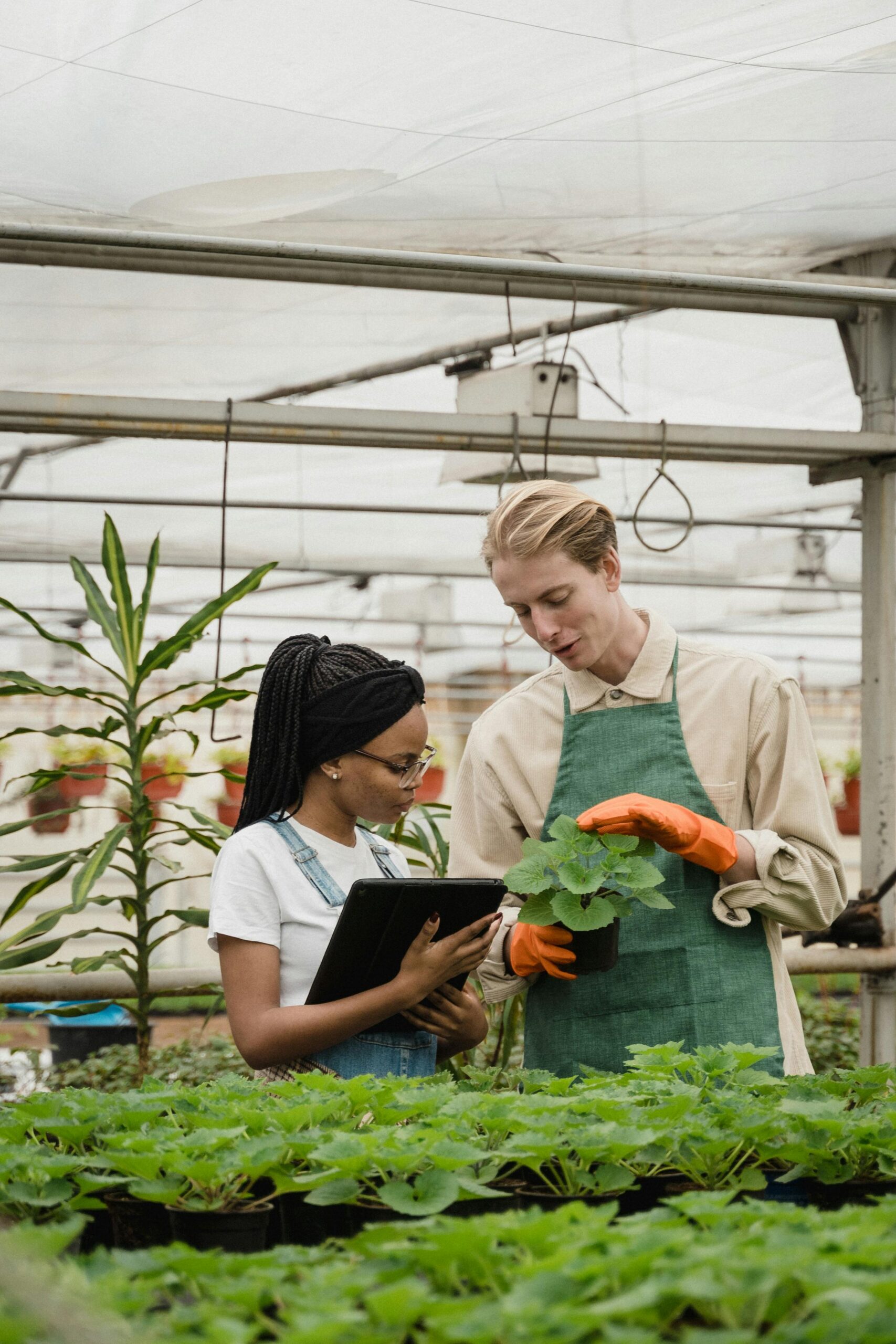 IELTS listening practice test 3 - modern farming methods