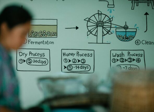 IELTS writing task 1 academic diagrams