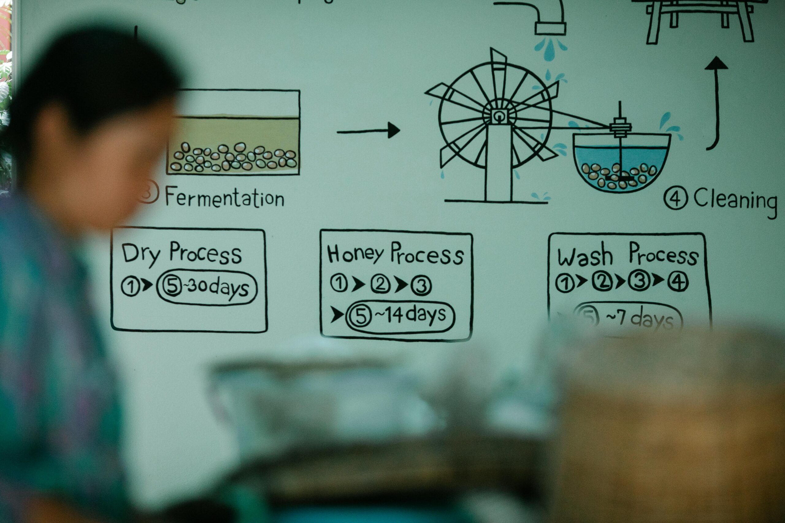 IELTS writing task 1 academic diagrams